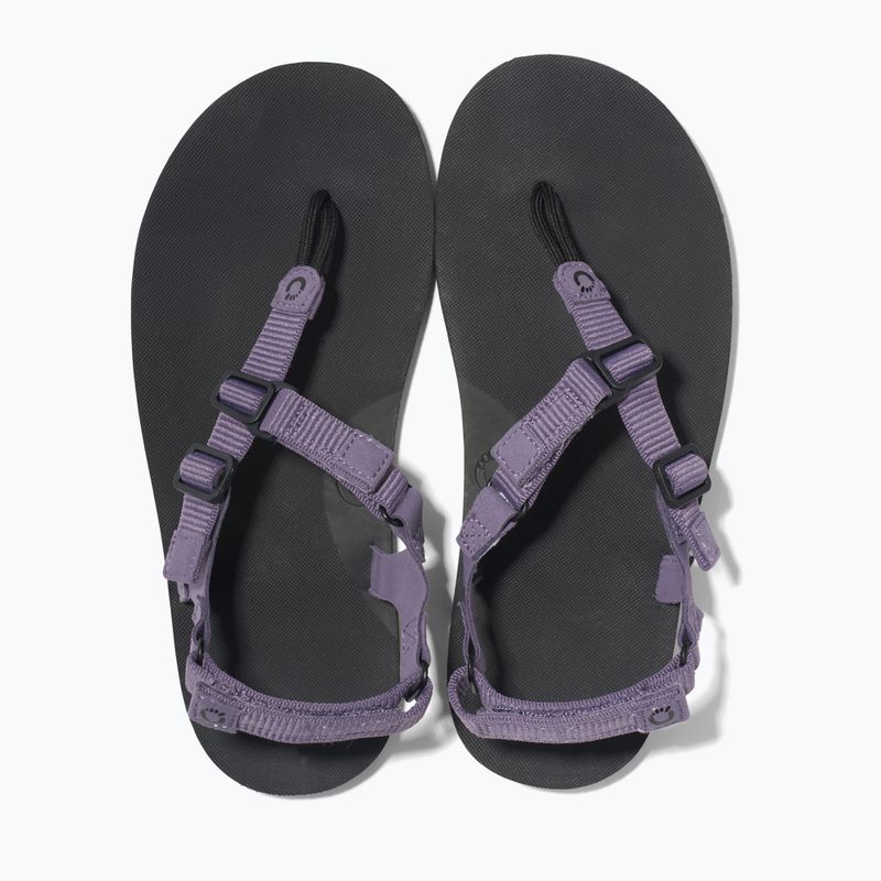 Dámske barefoot sandále Xero Shoes H-Trail sage purple 6