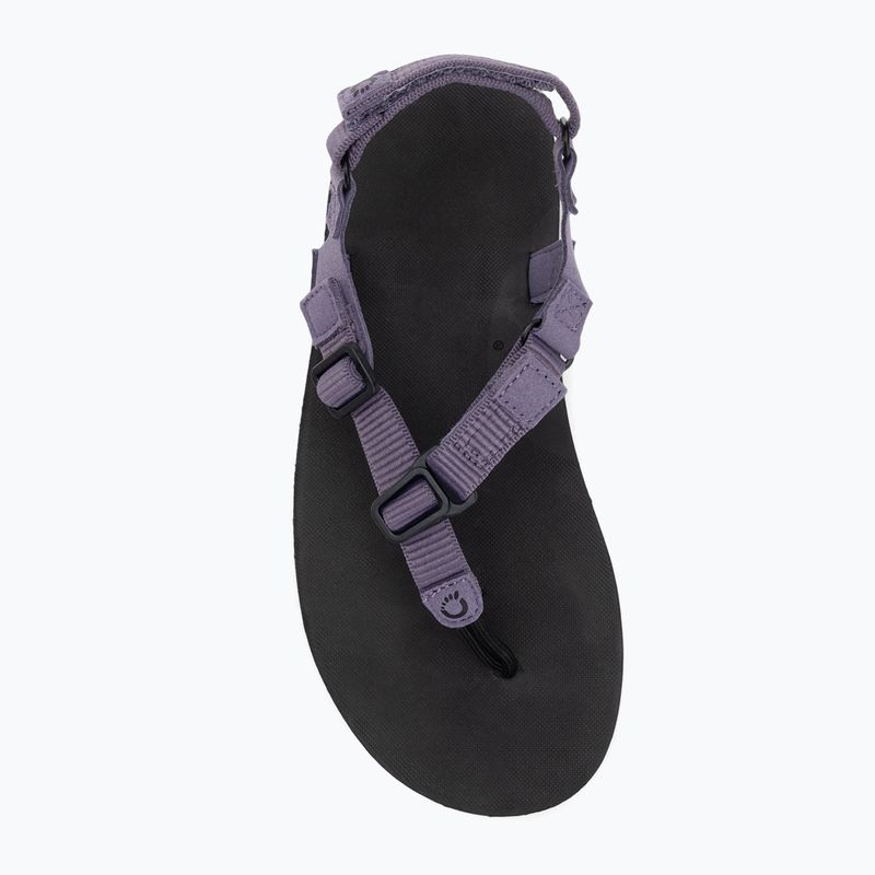 Dámske barefoot sandále Xero Shoes H-Trail sage purple 5
