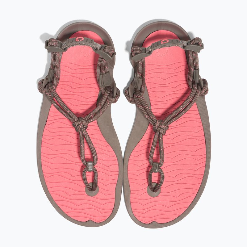 Dámske barefoot sandále Xero Shoes Aqua Cloud moel/sunset coral morel/sunset coral 8