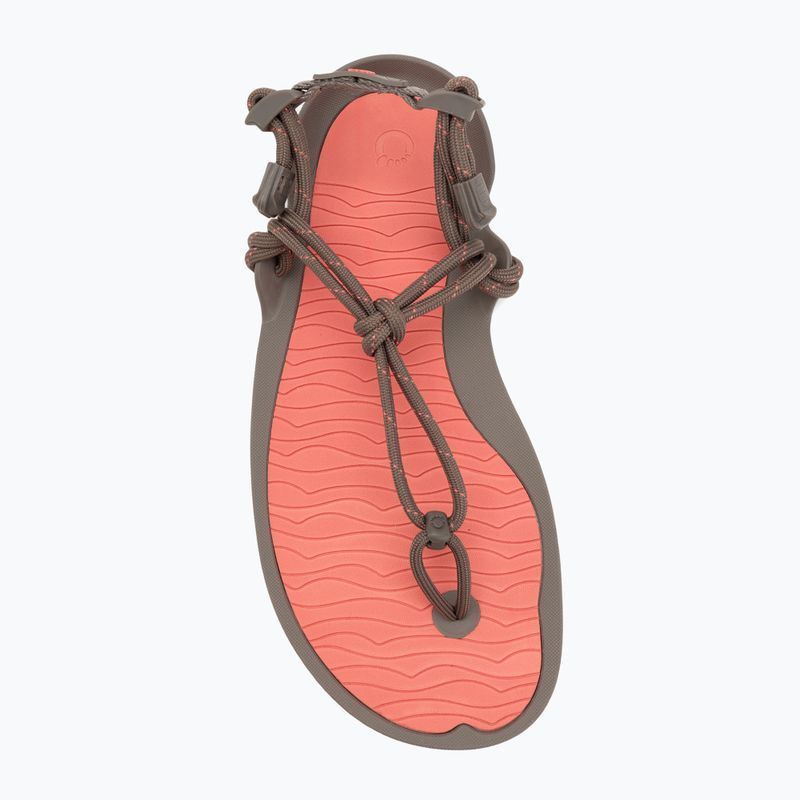 Dámske barefoot sandále Xero Shoes Aqua Cloud moel/sunset coral morel/sunset coral 5