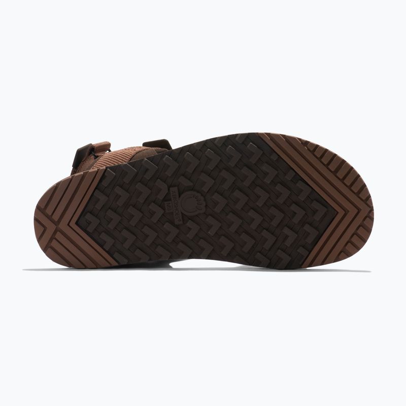 Pánske barefoot sandále Xero Shoes D-Trail cocoa brown/java brown 6