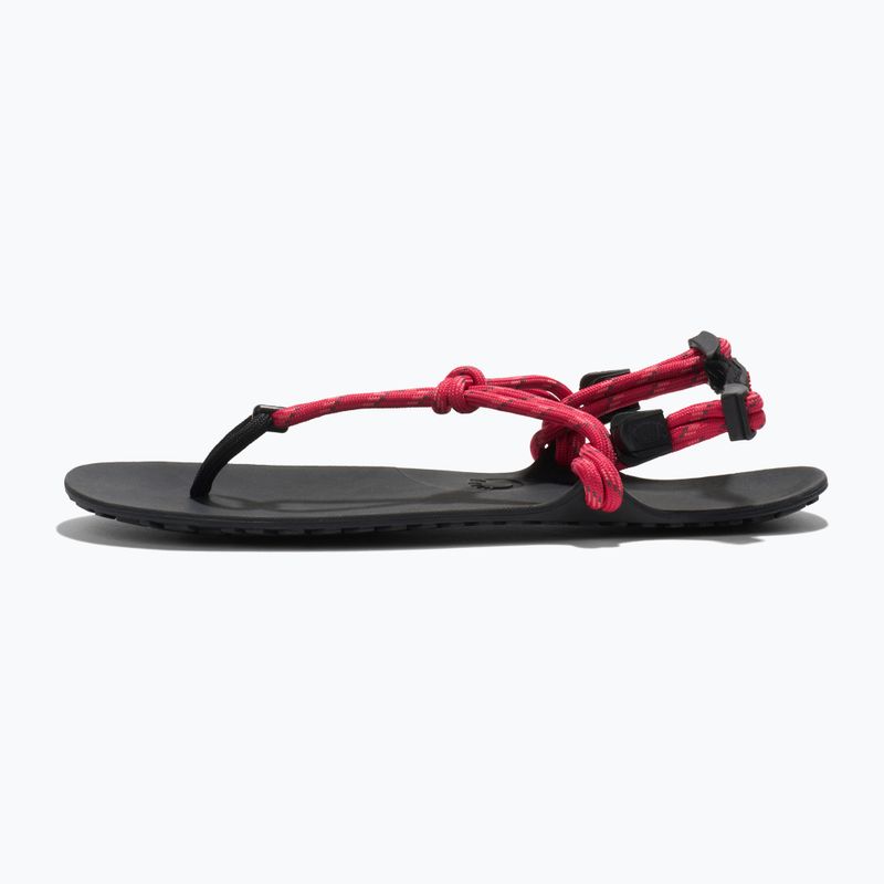Dámske barefoot sandále Xero Shoes Genesis raspberry 2