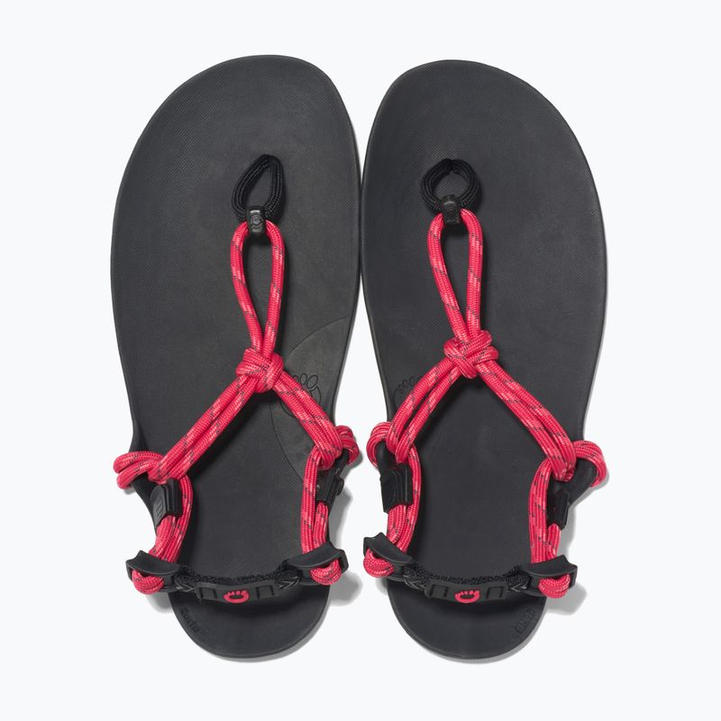 Dámske barefoot sandále Xero Shoes Genesis raspberry 5