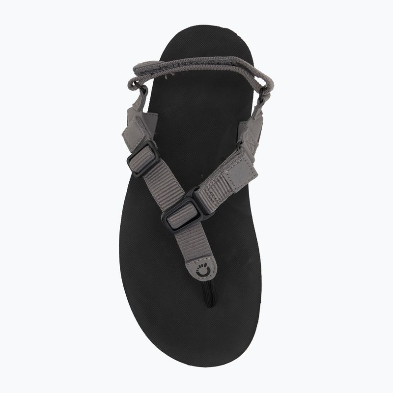 Pánske barefoot sandále Xero Shoes H-Trail steel gray/blue/lolite steel gray/blue/iolite 5