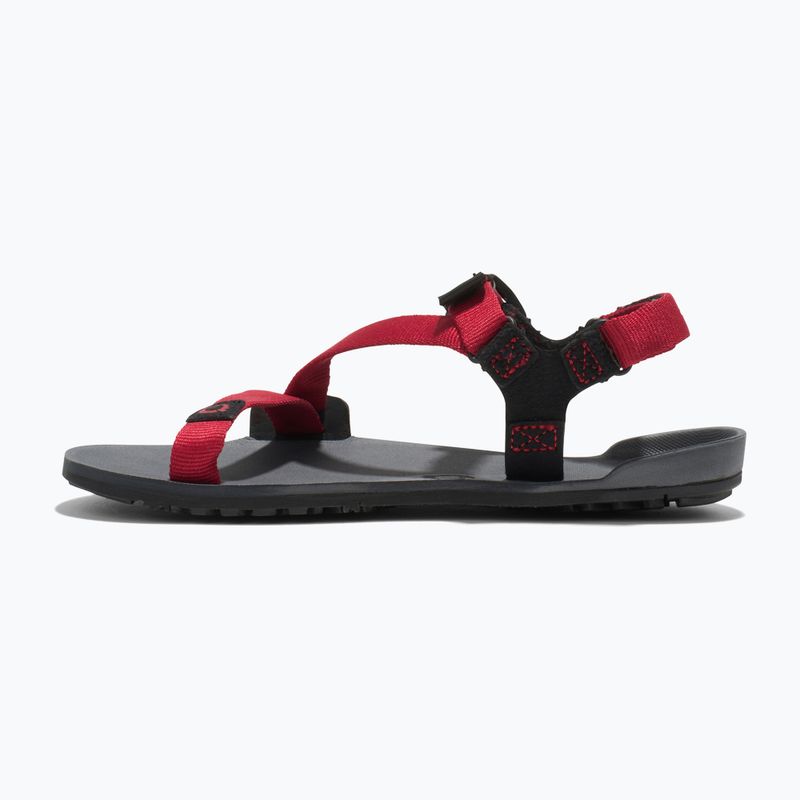 Detské sandále Barefoot Xero Shoes Z-Trail charcoal/red pepper 2