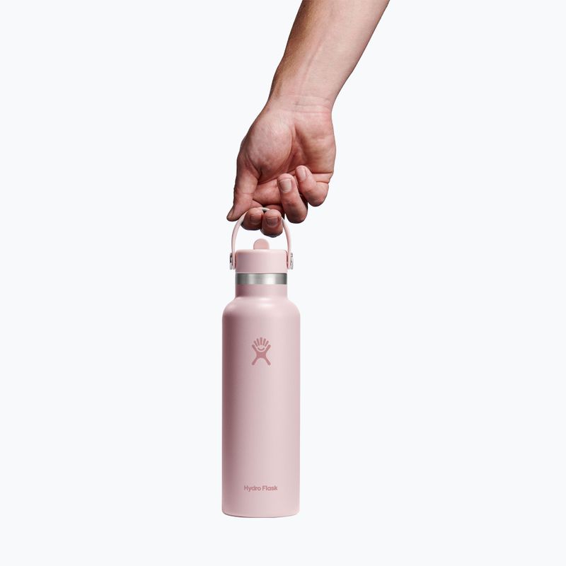 Termofľaša Hydro Flask Standard Flex 621 ml trillium 3