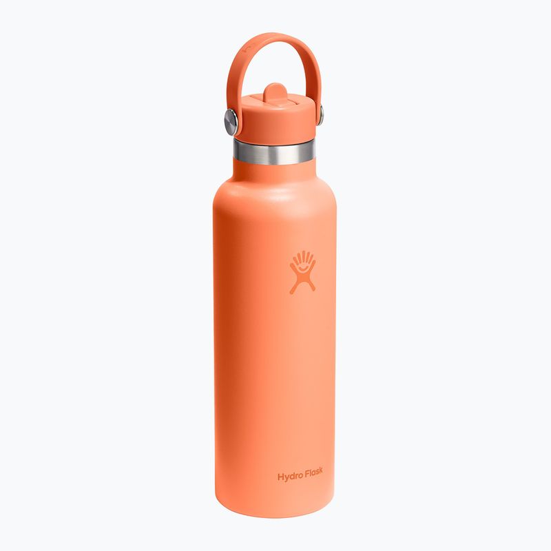 Termos Hydro Flask Standard Flex Straw 620 ml nektar 2