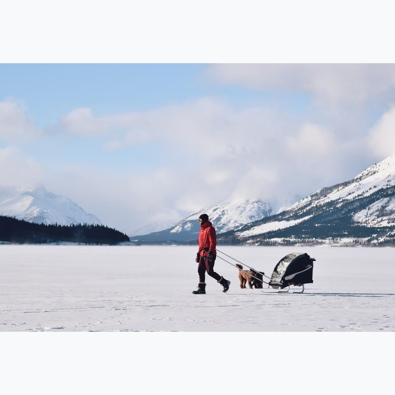 Lyžiarska súprava pre prívesný vozík Burley Ski Kit 3