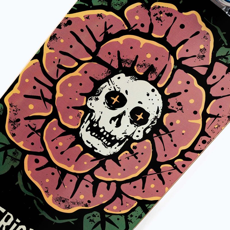 Klasické skateboardové triky Rose Complete TRCO0022A004 8