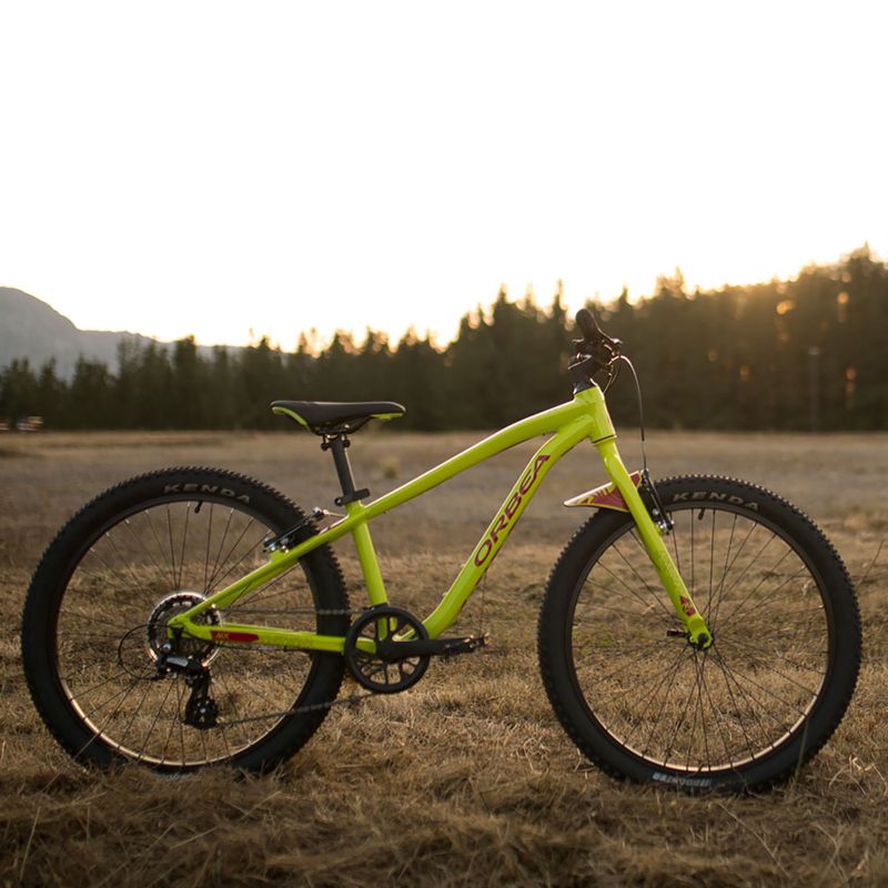 Detský bicykel Orbea MX20 Team žltý M00520I6 6