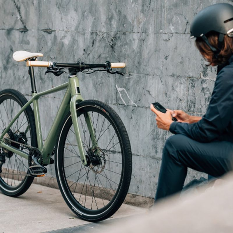 Elektrobicykel Orbea Vibe H10 EQ zelený 19