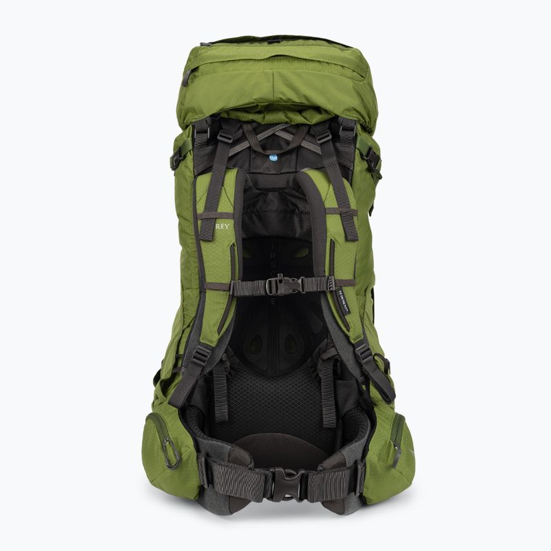 Pánsky trekingový batoh Osprey Aether 65 l garlic mustard green 3