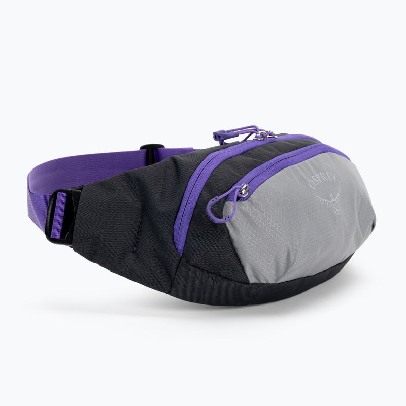 Ľadvinka Osprey Daylite Waist medium grey/dark charcoal