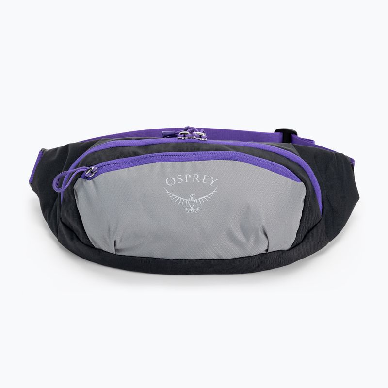 Ľadvinka Osprey Daylite Waist medium grey/dark charcoal 3