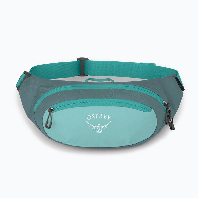 Ľadvinka Osprey Daylite jetstream blue/cascade blue