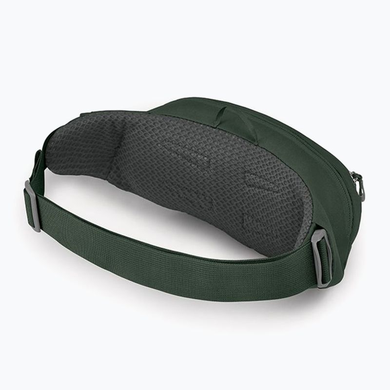 Taška kapsička Osprey Daylite Waist 2 l green bely/green canopy 3