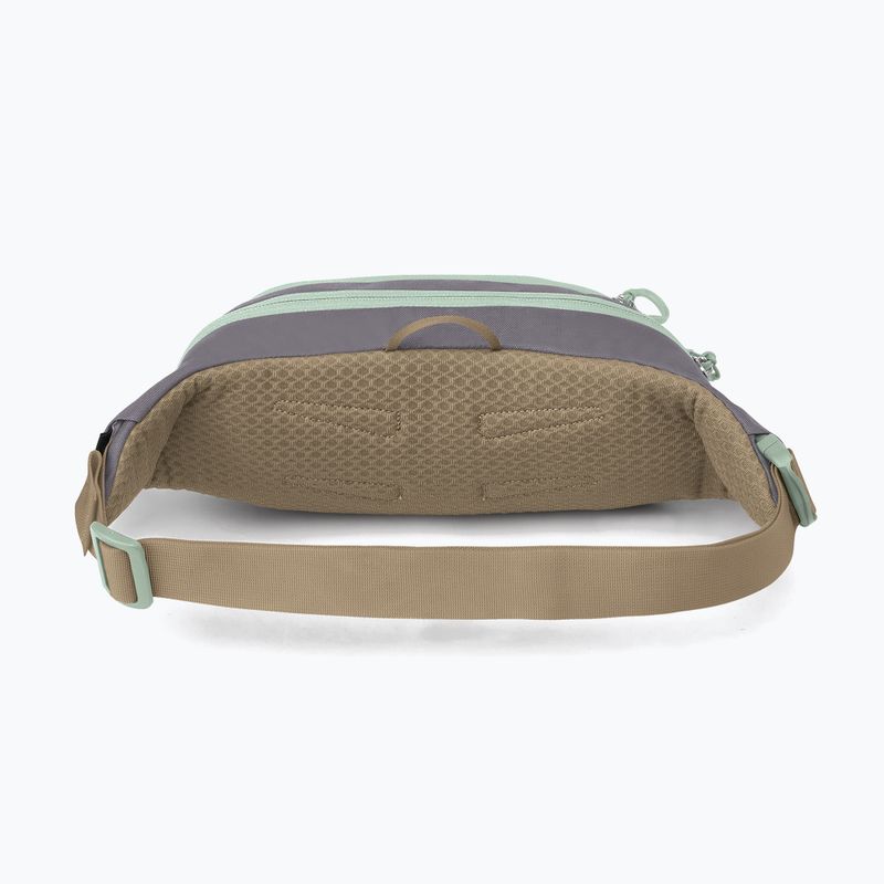 Ľadvinka Osprey Daylite Waist 2 l soundwave grey/ latte brown 3