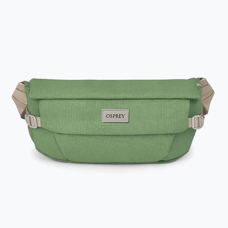 Ľadvinka Osprey Arcane Hip 2 l botanica