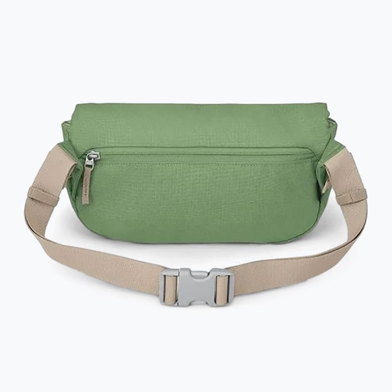 Ľadvinka Osprey Arcane Hip 2 l botanica 2