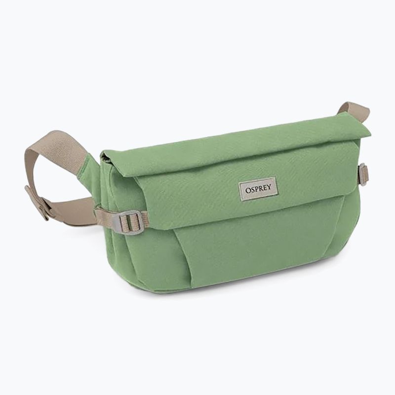Ľadvinka Osprey Arcane Hip 2 l botanica 3
