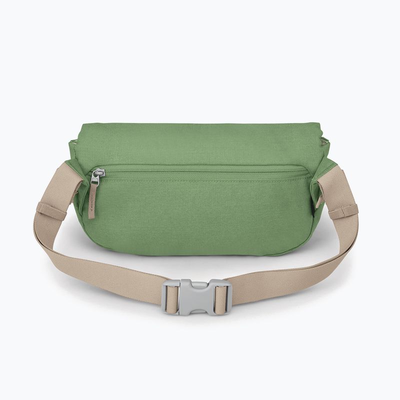 Ľadvinka Osprey Arcane Hip 2 l botanica 3