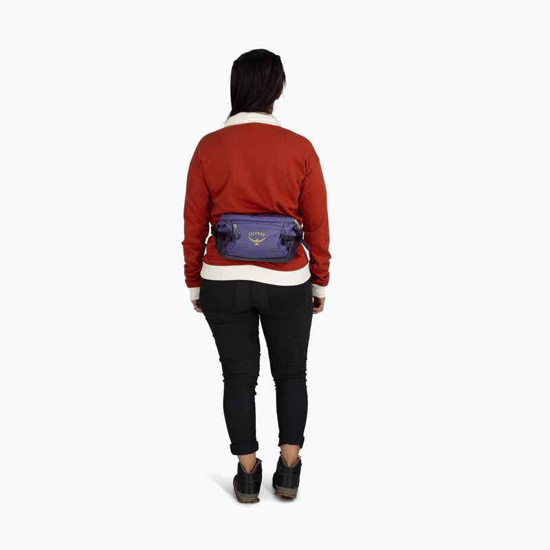 Ľadvinka Osprey Transporter Waist Pack 3 l euphoria 8