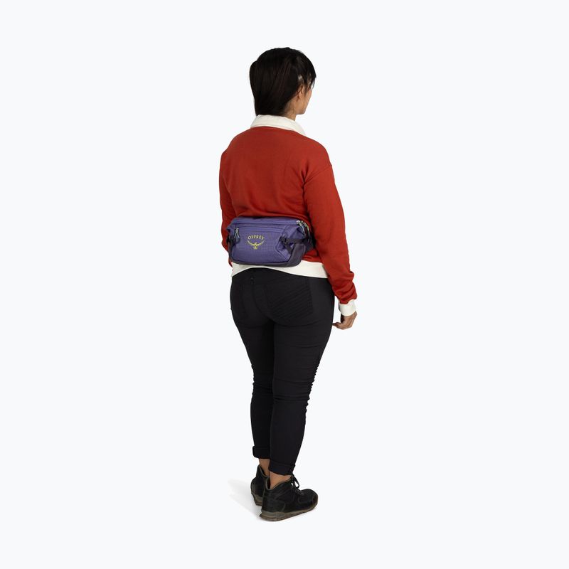 Ľadvinka Osprey Transporter Waist Pack 3 l euphoria 9
