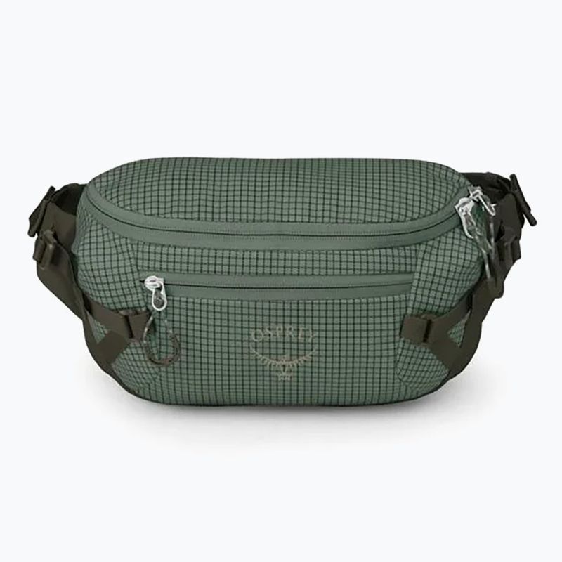 Ľadvinka Osprey Transporter Waist Pack 3 l pine leaf