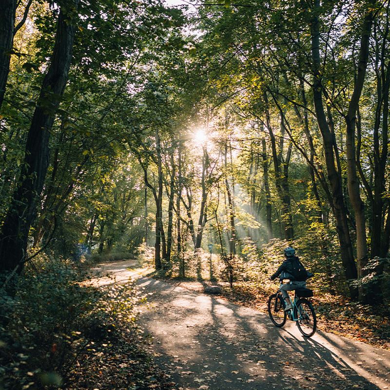 Dámsky trekingový bicykel Kellys Cristy 40 fialový 72344 9