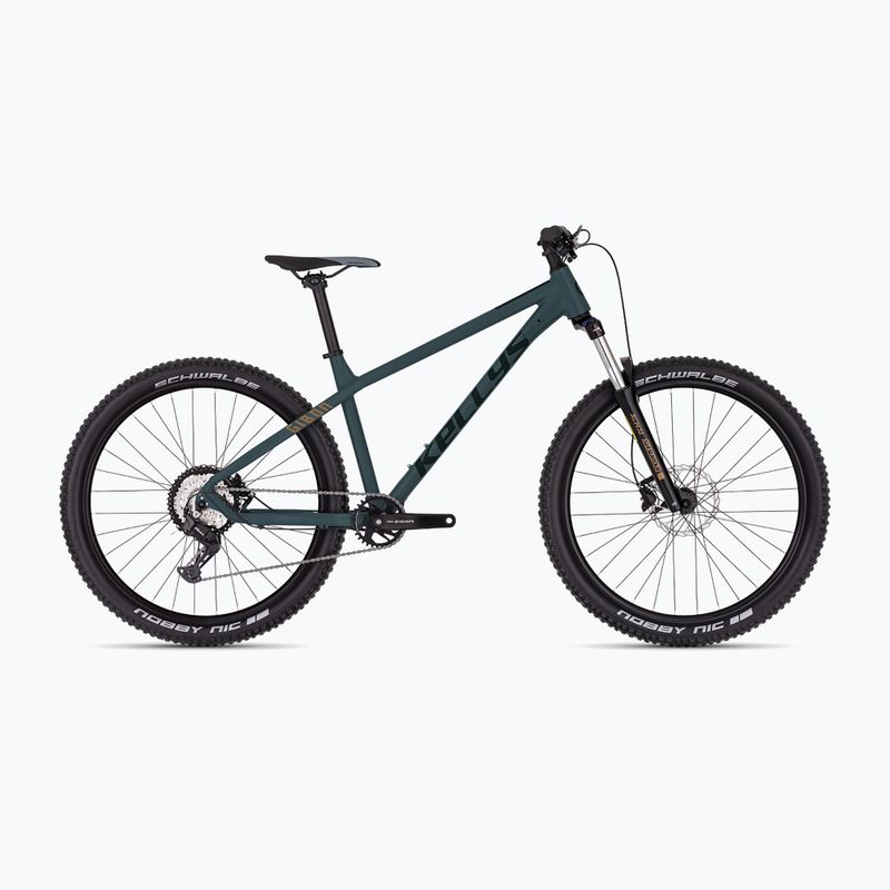 Kellys Gibon 05 29" horský bicykel ebony green
