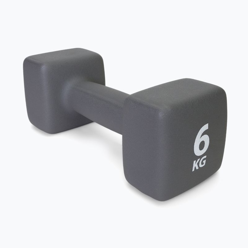 Neoprénová činka 6 kg Pure2Improve sivá P2I201440