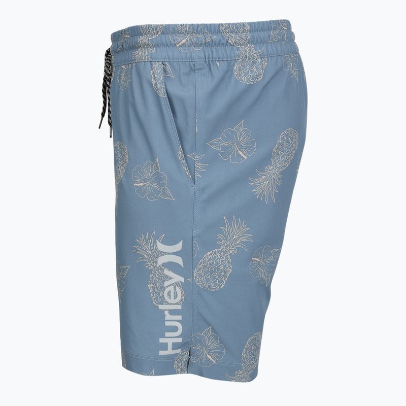 Pánske plavecké šortky Hurley Pineapple Volley Swim Short Blue/Brown 3