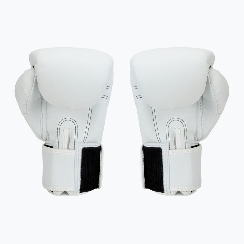 Boxerské rukavice Twins Special BGVS3 white 2