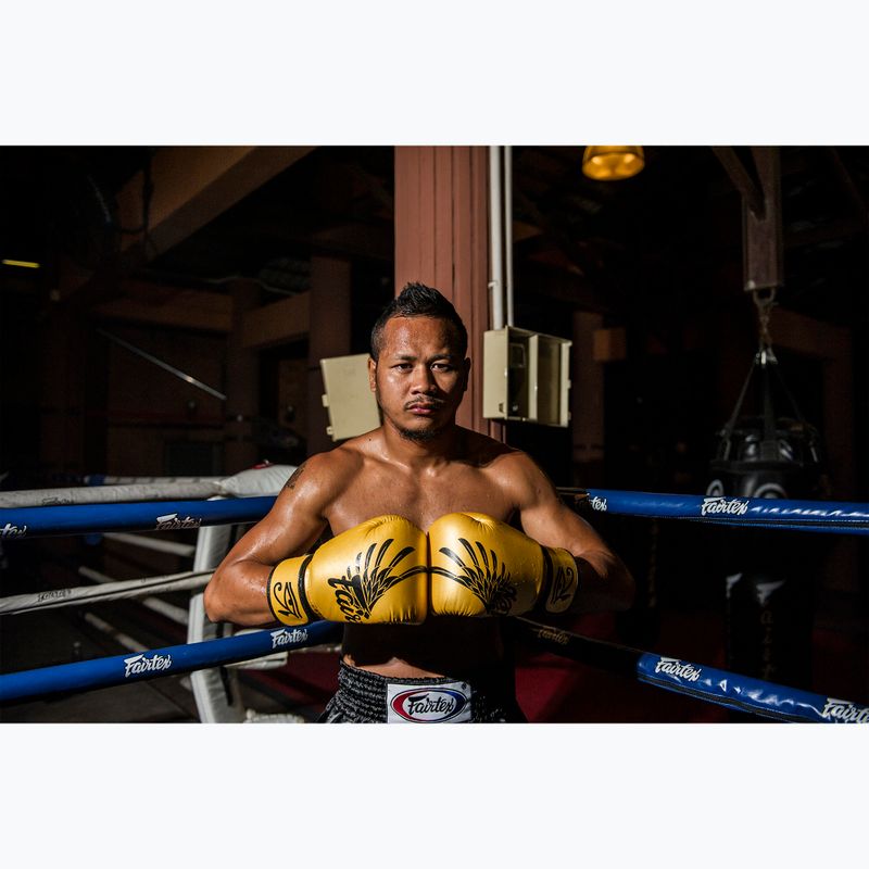 Boxerské rukavice Fairtex Universal "Tight-Fit" Design Falcon gold 2