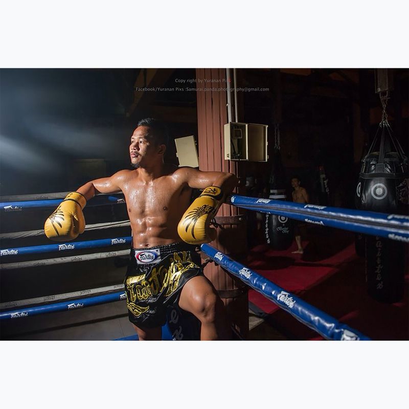 Boxerské rukavice Fairtex Universal "Tight-Fit" Design Falcon gold 3