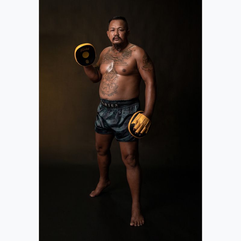 Fairtex Speed & Accuracy Focus Mitts čierne/zlaté tréningové labky 4