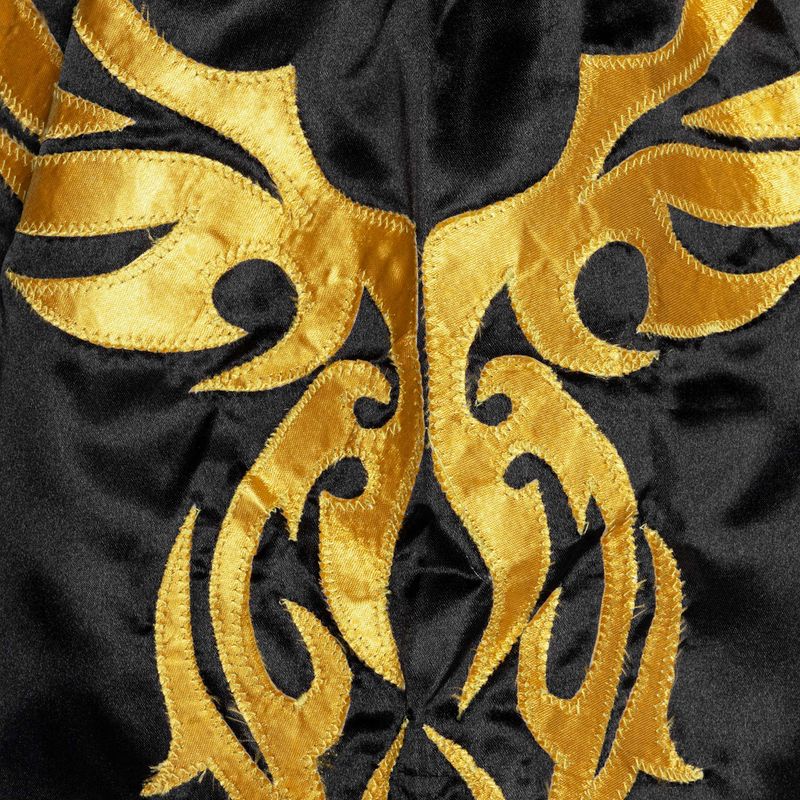 Pánske tréningové šortky Top King Kickboxing 4