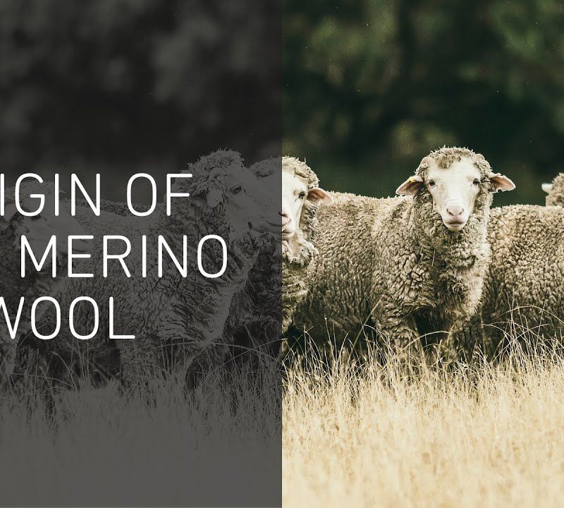 Pánske trekingové tričko Ortovox 140 Cool Mtn Playground sivé 88302 4