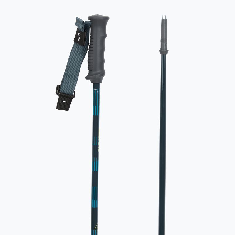 Lyžiarske palice Fischer RC4 Noize grey / blue 3