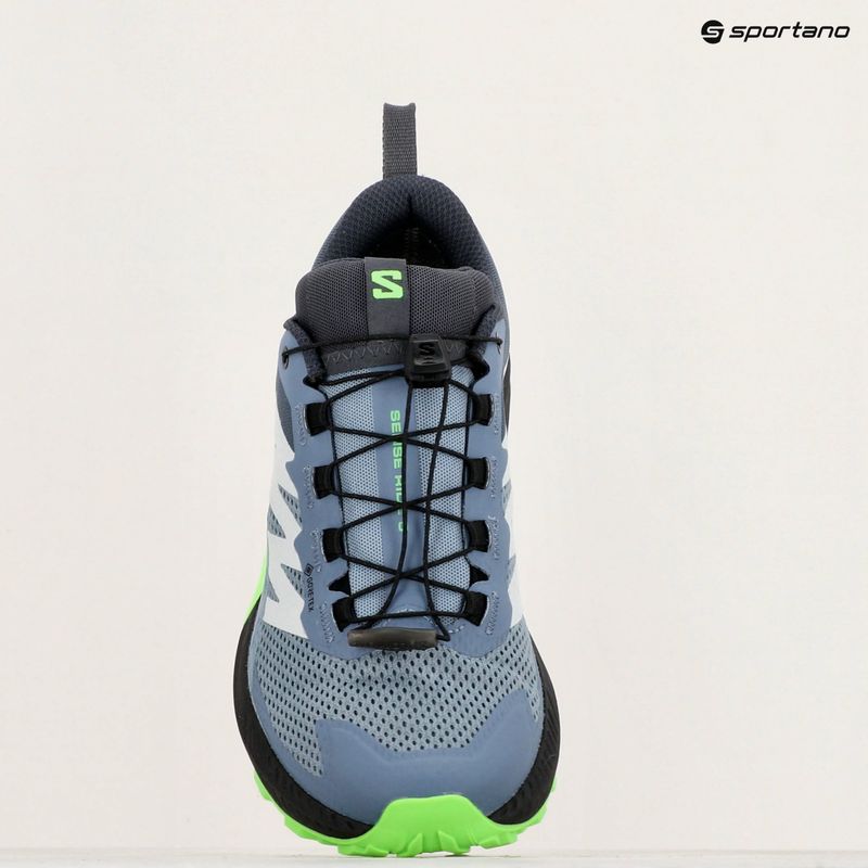 Pánska bežecká obuv Salomon Sense Ride 5 GTX flint stone/black/green gecko 12