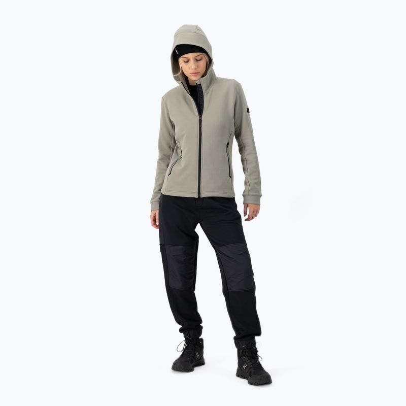 Dámska mikina Mons Royale Arcadia Merino Fleece Hoody dried sage 2