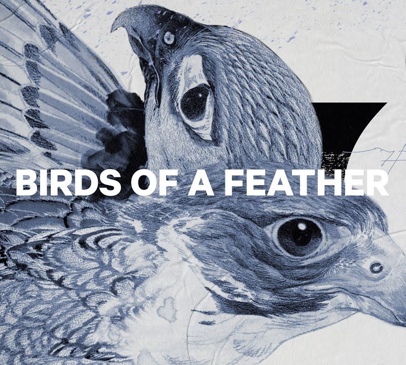 Dámsky snowboard CAPiTA Birds Of A Feather 1221108 5