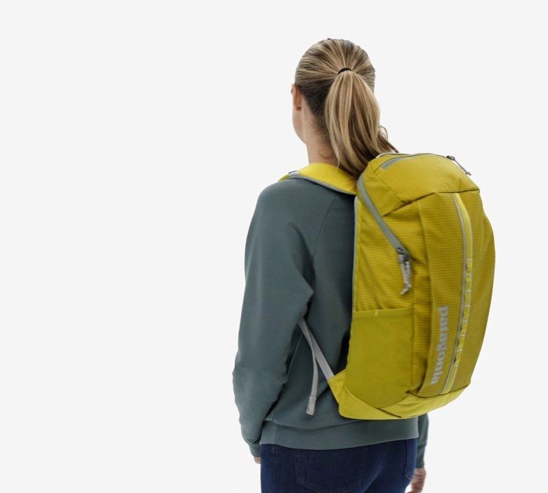 Patagonia Black Hole Pack 25 l bledý periwinkle turistický batoh 7