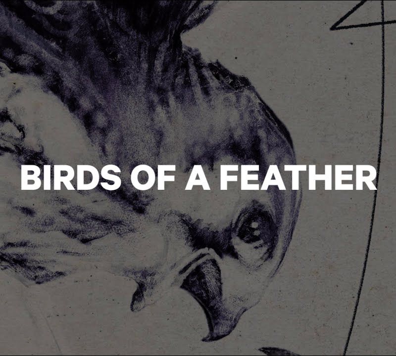 Dámsky snowboard CAPiTA Birds Of A Feather Wide white 1211120 5
