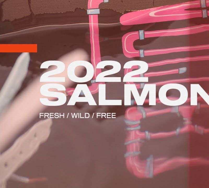 Wakeboard SLINGSHOT Salmon pink 9