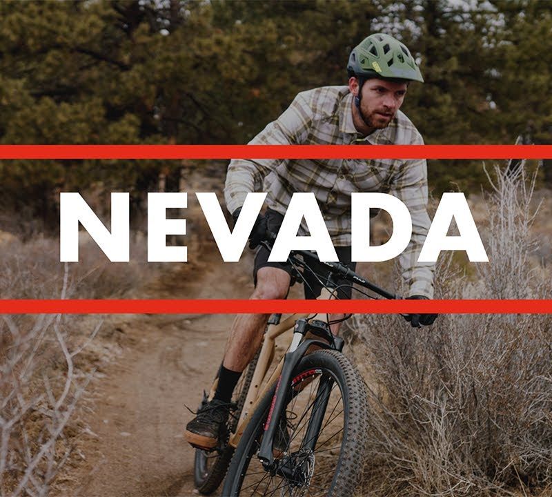 Horský bicykel Fuji Nevada 29 1.3 satin silver 5