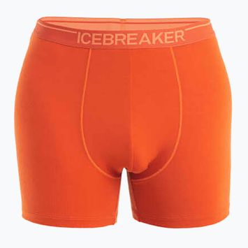 Pánske termo boxerky Icebreaker Anatomica molten