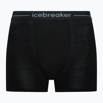 Pánske termo boxerky Icebreaker Anatomica black