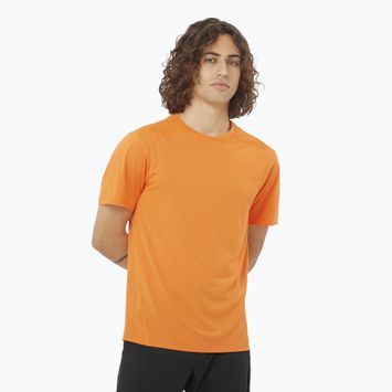 Pánske tričko Salomon Outline Tee turmeric