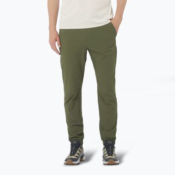 Pánske trekingové nohavice Salomon Wayfarer Ease grape leaf